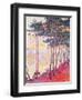 Sailing Boats and Pine Trees, 1896-Paul Signac-Framed Giclee Print