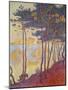 Sailing Boats and Pine Trees, 1896-Paul Signac-Mounted Giclee Print
