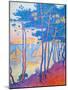 Sailing Boats and Pine Trees, C. 1896 (Oil on Canvas)-Paul Signac-Mounted Giclee Print