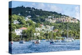 Sailing boats in Cruz Bay, St. John, Virgin Islands National Park, US Virgin Islands, West Indies,-Michael Runkel-Stretched Canvas