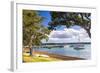 Sailing Boats in Russell Harbour, Bay of Islands, Northland Region, North Island, New Zealand-Matthew Williams-Ellis-Framed Photographic Print