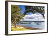 Sailing Boats in Russell Harbour, Bay of Islands, Northland Region, North Island, New Zealand-Matthew Williams-Ellis-Framed Photographic Print