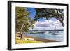 Sailing Boats in Russell Harbour, Bay of Islands, Northland Region, North Island, New Zealand-Matthew Williams-Ellis-Framed Photographic Print