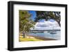 Sailing Boats in Russell Harbour, Bay of Islands, Northland Region, North Island, New Zealand-Matthew Williams-Ellis-Framed Photographic Print