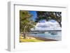 Sailing Boats in Russell Harbour, Bay of Islands, Northland Region, North Island, New Zealand-Matthew Williams-Ellis-Framed Photographic Print