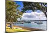 Sailing Boats in Russell Harbour, Bay of Islands, Northland Region, North Island, New Zealand-Matthew Williams-Ellis-Mounted Photographic Print