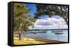 Sailing Boats in Russell Harbour, Bay of Islands, Northland Region, North Island, New Zealand-Matthew Williams-Ellis-Framed Stretched Canvas