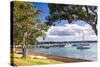 Sailing Boats in Russell Harbour, Bay of Islands, Northland Region, North Island, New Zealand-Matthew Williams-Ellis-Stretched Canvas