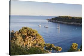 Sailing Boats in the Bay of Fetovaia at Sunset, Island of Elba, Livorno Province, Tuscany, Italy-Markus Lange-Stretched Canvas