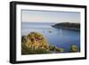 Sailing Boats in the Bay of Fetovaia at Sunset, Island of Elba, Livorno Province, Tuscany, Italy-Markus Lange-Framed Photographic Print