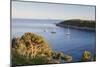 Sailing Boats in the Bay of Fetovaia at Sunset, Island of Elba, Livorno Province, Tuscany, Italy-Markus Lange-Mounted Photographic Print