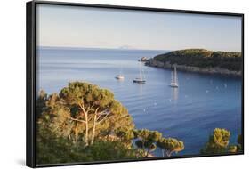 Sailing Boats in the Bay of Fetovaia at Sunset, Island of Elba, Livorno Province, Tuscany, Italy-Markus Lange-Framed Photographic Print