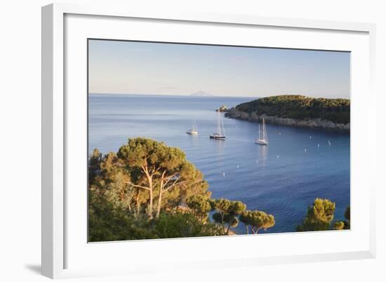 Sailing Boats in the Bay of Fetovaia at Sunset, Island of Elba, Livorno Province, Tuscany, Italy-Markus Lange-Framed Photographic Print