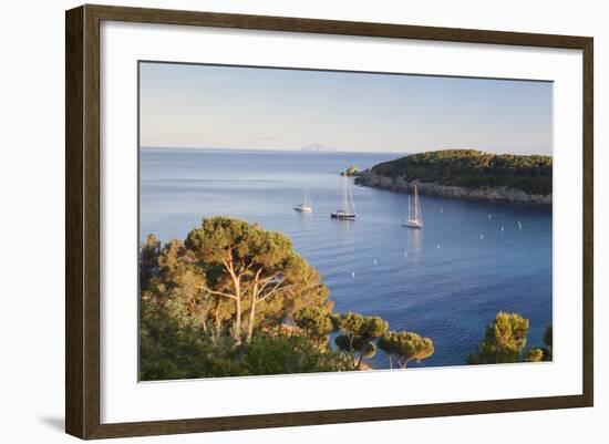 Sailing Boats in the Bay of Fetovaia at Sunset, Island of Elba, Livorno Province, Tuscany, Italy-Markus Lange-Framed Photographic Print