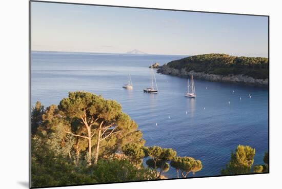 Sailing Boats in the Bay of Fetovaia at Sunset, Island of Elba, Livorno Province, Tuscany, Italy-Markus Lange-Mounted Photographic Print