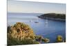 Sailing Boats in the Bay of Fetovaia at Sunset, Island of Elba, Livorno Province, Tuscany, Italy-Markus Lange-Mounted Photographic Print