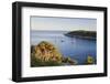 Sailing Boats in the Bay of Fetovaia at Sunset, Island of Elba, Livorno Province, Tuscany, Italy-Markus Lange-Framed Photographic Print