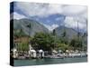 Sailing Boats in the Harbour of Lahaina, an Old Whaling Station, West Coast, Hawaii-Tony Waltham-Stretched Canvas