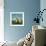 Sailing Boats-McConnell-Framed Giclee Print displayed on a wall