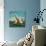 Sailing Boats-McConnell-Giclee Print displayed on a wall