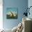 Sailing Boats-McConnell-Mounted Giclee Print displayed on a wall