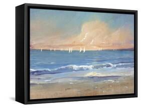 Sailing Breeze I-Tim O'toole-Framed Stretched Canvas