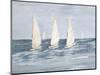 Sailing Calm Waters  II-Julie DeRice-Mounted Art Print