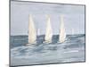 Sailing Calm Waters  II-Julie DeRice-Mounted Art Print