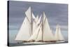 Sailing Close-Ingrid Abery-Stretched Canvas