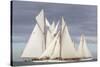 Sailing Close-Ingrid Abery-Stretched Canvas