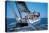 Sailing Cruis-null-Stretched Canvas