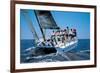 Sailing Cruis-null-Framed Art Print