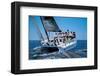 Sailing Cruis-null-Framed Art Print