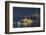 Sailing Dinghy Passes Norfolk Island-James Emmerson-Framed Photographic Print