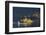 Sailing Dinghy Passes Norfolk Island-James Emmerson-Framed Photographic Print