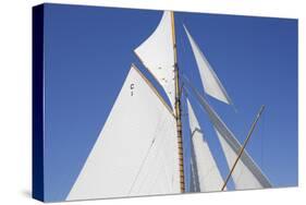 Sailing Focus - Dart-Ben Wood-Stretched Canvas
