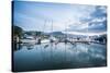 Sailing Harbour of Apia at Sunset, Upolu, Samoa, South Pacific, Pacific-Michael Runkel-Stretched Canvas