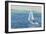 Sailing Home, 1999-Antonia Myatt-Framed Giclee Print