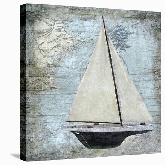 Sailing I-Karen Williams-Stretched Canvas