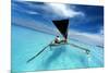 Sailing in a Tropical Lagoon-paulista-Mounted Photographic Print