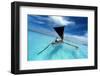 Sailing in a Tropical Lagoon-paulista-Framed Photographic Print
