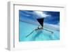 Sailing in a Tropical Lagoon-paulista-Framed Photographic Print