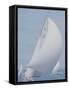 Sailing in New Zealand-null-Framed Stretched Canvas