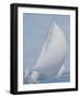 Sailing in New Zealand-null-Framed Photographic Print