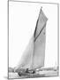 Sailing in Sydney Harbour-null-Mounted Giclee Print
