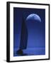 Sailing in the Moonlight-null-Framed Premium Photographic Print