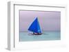 Sailing in the Ocean, Boracay Island, Aklan Province, Philippines-Keren Su-Framed Photographic Print