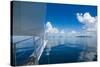Sailing in the very flat waters of the Mamanuca Islands, Fiji, South Pacific-Michael Runkel-Stretched Canvas