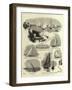 Sailing Match of the New Thames Yacht Club-null-Framed Giclee Print