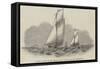 Sailing Match of the Thames Royal Yacht Club, Off Greenwich-null-Framed Stretched Canvas